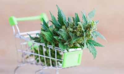 Delta 8,Where to Find Weed Online in 2021: Learn How to Buy Weed Online