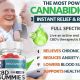 Recover FX CBD Gummies