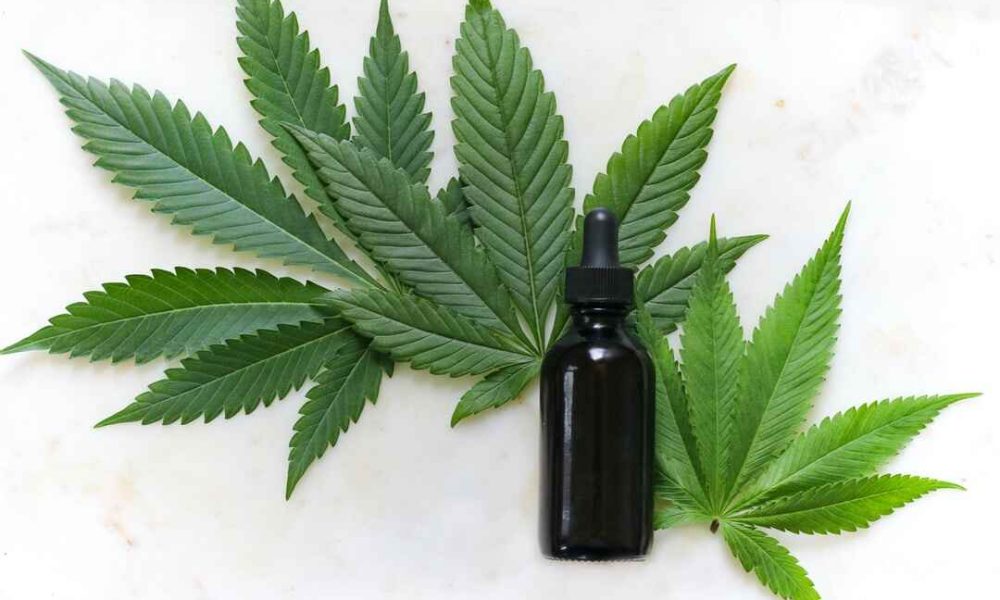 CBD Nerds: Your Trusted CBD Source for Newbies