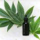 CBD Nerds: Your Trusted CBD Source for Newbies