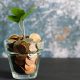 7 Tips to Save Money and Grow Your Bank on a Low Income