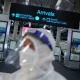 Thailand Prepares for Reopening Here is What Your Need to Know