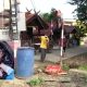 Woman Finds Newborn Baby Dumped in Roadside Wast Bin