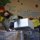 Thousands of US Military Families Struggling with Food Insecurity