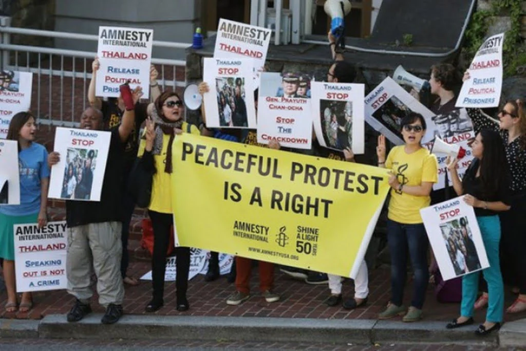 Amnesty International Critics Want Rights Group Banned