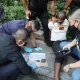 Police in Thailand Take Down African Cocaine Trafficking Ring