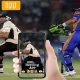 Popular Cricket Betting Apps in India