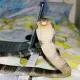 Thailand, Woman Finds Giant Long King Cobra in Her Bed
