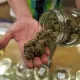 DC marijuana