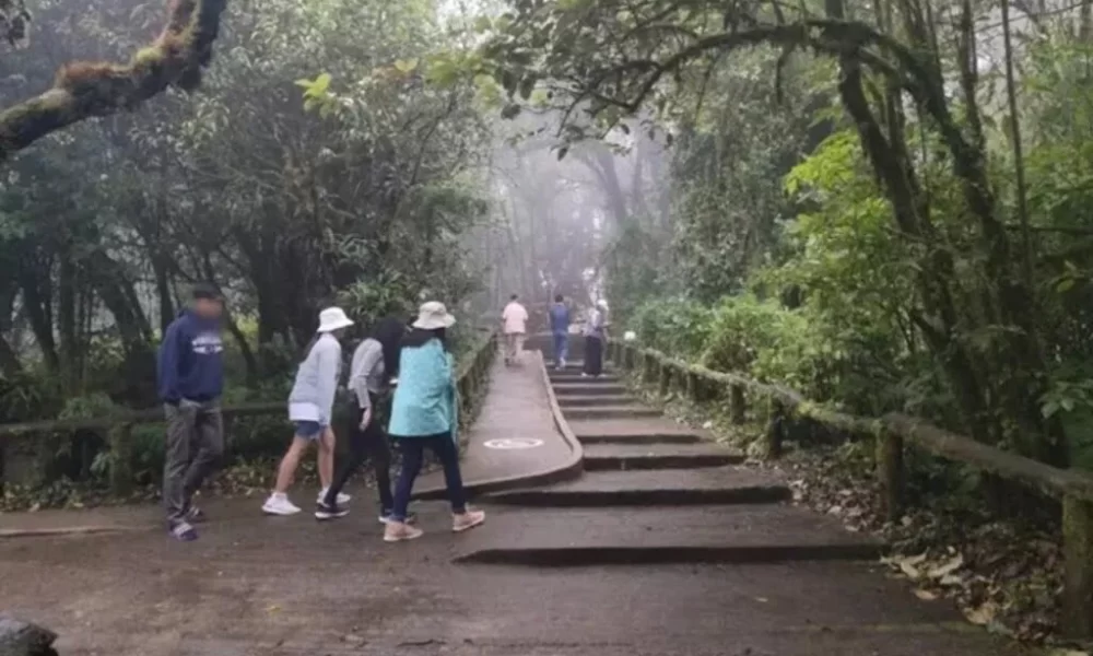 Tourists Bring Life Back to Chiang Mai in Northern Thailand