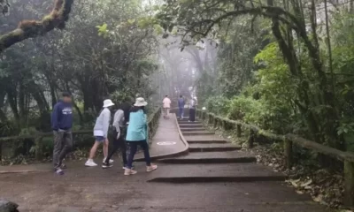 Tourists Bring Life Back to Chiang Mai in Northern Thailand