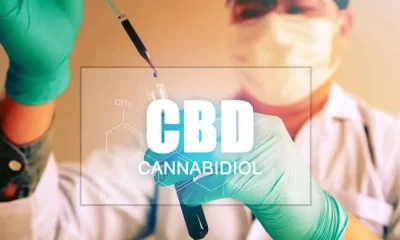 CBD Industry Growth