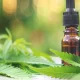 CBD Oil: Is it Safe and Effective?