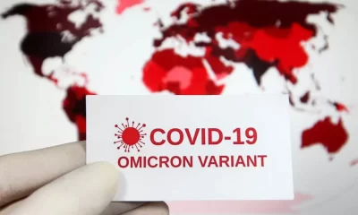 Omicron Variants Bark Maybe Worse Than Its Bite