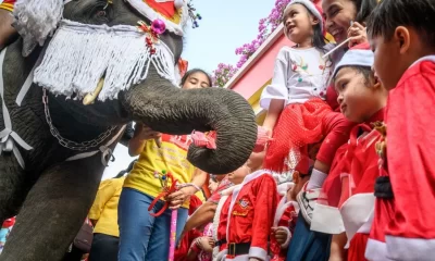 Elephant Santa's Bring Christmas Joy to Children in Thailand