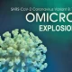 Health Officials Warn Over COVID-19 Omicron Variant Explosion
