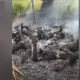 Myanmar Military Accused Killing and Burning 11 Villagers