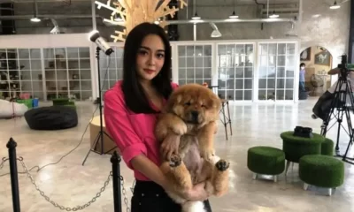 Thai Millennials Choosing to Become Pet Parents