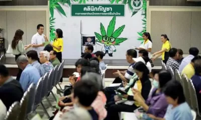 Thailand Pushes to Open More Free Cannabis CBD Oil Clinics