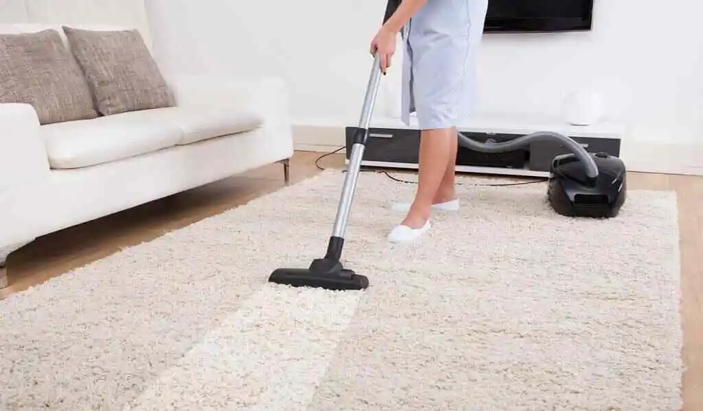 clean carpet