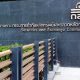 Thailand's Securities and Exchange Commission Bans NFT Trading