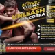 King Cobra Gummies Male Enhancement