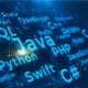 Trending Programming Languages Preferred by Developers