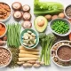 vegetarian Diet