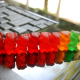 Can Delta 8 Gummies Help Migraines?