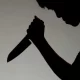 Teen Stabs Grandmother 60 Times, Court Rules Killing Accidental