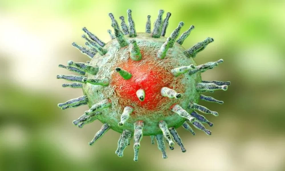 Epstein Barr-Virus