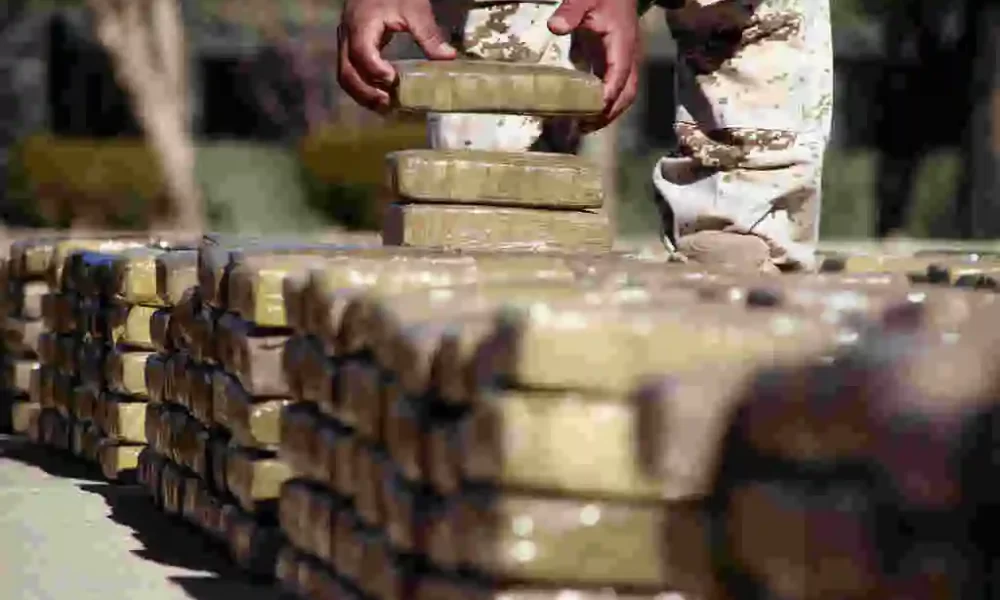 Police Seize 420Kg of High-Grade Marijuana, 3 Arrested