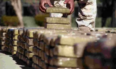 Police Seize 420Kg of High-Grade Marijuana, 3 Arrested