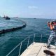 Navy Fights to Stop 50,000 Liter Oil Slick from Hitting Koh Samet