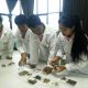 Thailand Treats Long Covid with Alternative Traditional Medicine