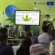 Thailand to Promote Cannabis 101 Handbook to Farmers