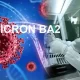 Omicron subvariant appears more contagious, but not more severe