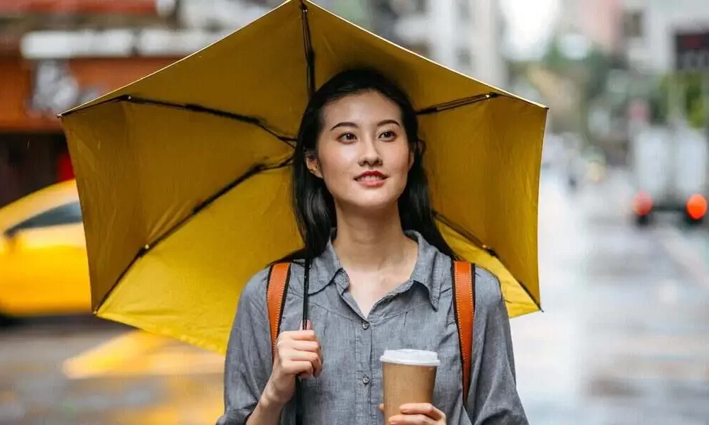 Umbrella