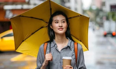 Umbrella