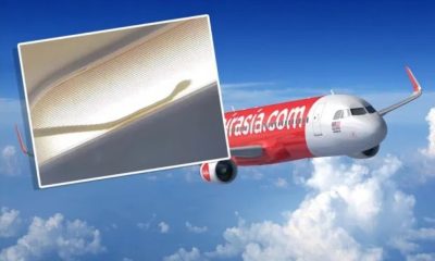 AirAsia Diverts Flight After Snake Discovered in Cabin