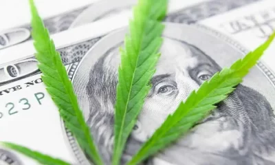CBD Business Opportunities