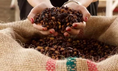Colombian Coffee