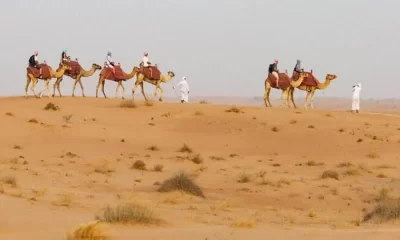 Dubai Desert Safari