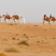 Dubai Desert Safari