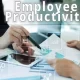 Employee Productivity