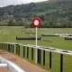 Cheltenham Festival