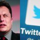 Elon Musk's Asks His 79.2 Million Followers if Twitter Should Be Replaced