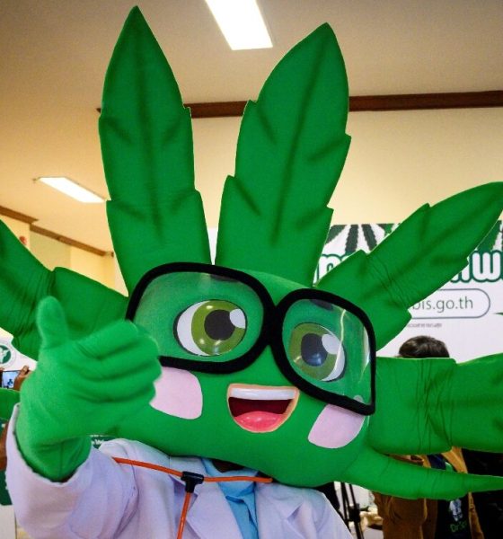Thai Police Need to Be Educated on New Marijuana Law