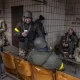 Foreigners Who Fight For Ukraine Will be Eligible For Citizenship