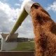 Ukraine War Causes A Huge Increase In Global Food Prices Says UN